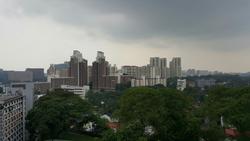 Lush On Holland Hill (D10), Condominium #112686802